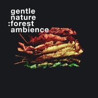 Gentle Nature: Forest Ambience