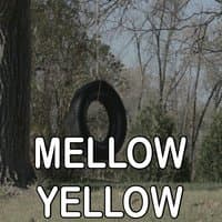 Mellow Yellow - Tribute to Donovan