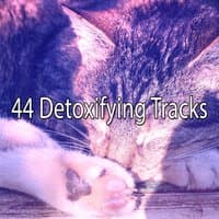 44 Detoxifying Tracks