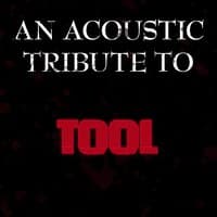 An Acoustic Tribute to Tool