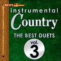 Instrumental Country: The Best Duets, Vol. 3