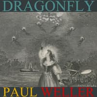 Dragonfly EP