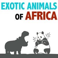 Exotic Animals of Africa