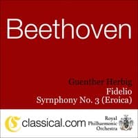 Ludwig van Beethoven, Symphony No. 5 In C Minor, Op. 67 (Beethoven's Fifth)