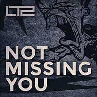 Not Missing You (feat. Daniel Jesse Seward)