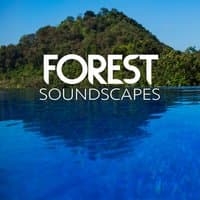 Forest Soundscapes