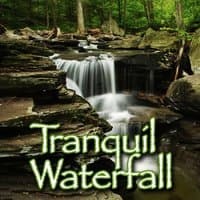 Tranquil Waterfall (Nature Sound with Music)