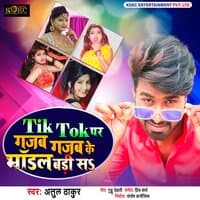 Tik Tok Par Gajab Gajab Ke Modal Badi Sa - Single