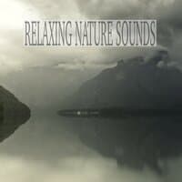 Relaxing Nature Sounds