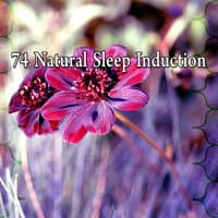 74 Natural Sleep Induction