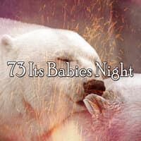 73 Its Babies Night