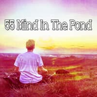 55 Mind in the Pond