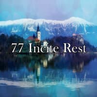 77 Incite Rest