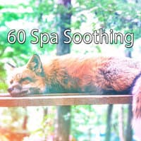 60 Spa Soothing