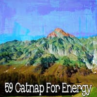 59 Catnap For Energy