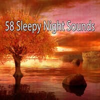 58 Sleepy Night Sounds