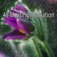 48 Meeting Relaxation