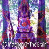 55 Instance of the Brain