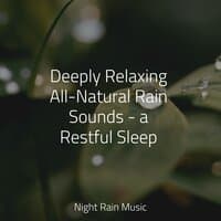 Deeply Relaxing All-Natural Rain Sounds - a Restful Sleep