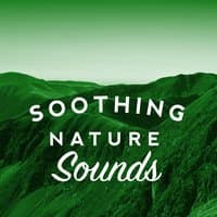 Soothing Nature Sounds