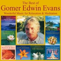 The Best Of Gomer Edwin Evans: Fantastic Instrumental Music