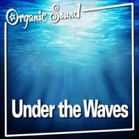 Under the Waves (Nature Sounds)