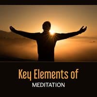 Key Elements of Meditation – 50 Tracks for Stress Relief, Healing Mindfulness, Mantra Power, Completely Calm, Conscious Breathing