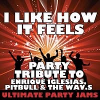 I Like How It Feels (Party Tribute to Enrique Iglesias, Pitbull & The Wav.s)