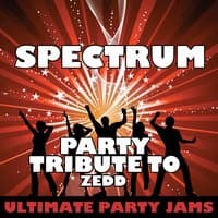 Spectrum (Party Tribute to Zedd) - Single