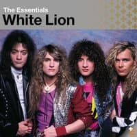 Essential: White Lion