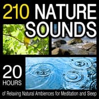 210 Nature Sounds - 20 Hours of Relaxing Natural Ambiences for Meditation and Sleep