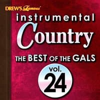 Instrumental Country: The Best of the Gals, Vol. 24