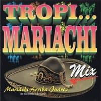 Mariachi Andino: He Creído / La Cumbia Francesa / Sin Chamba / Poco a Poco / Imagine