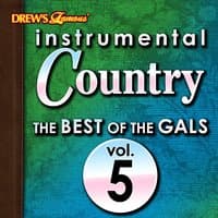 Instrumental Country: The Best of the Gals, Vol. 5