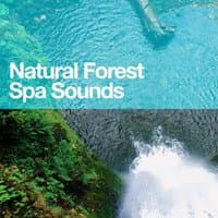 Natural Forest Spa Sounds