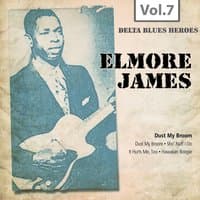 Delta Blues Heroes, Vol. 7