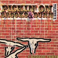 Pickin' On Brooks & Dunn: A Bluegrass Tribute - Volume 2