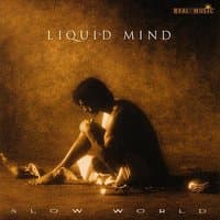 Liquid Mind II: Slow World