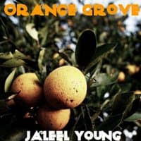 Orange Grove