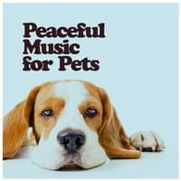 Peaceful Music for Pets