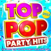 Top Pop Party Hits! - The Best Top Pop Party Hits for 2013