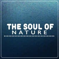 The Soul of Nature