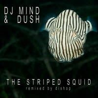 The Striped Squid