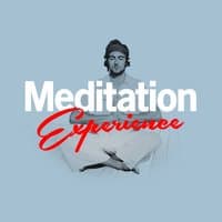 Meditation Experience