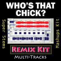 Who's That Chick? (Multi Tracks Tribute to David Guetta & Rihanna)