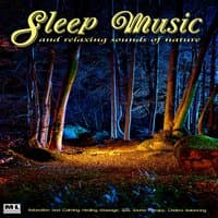 Sleep Music With Relaxing Sounds of Nature: Relaxation and Calming Studying Healing Massage Spa Sound Therapy Chakra Balancing