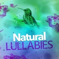 Natural Lullabies