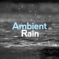 Ambient Rain