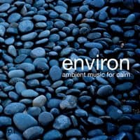 Environ: Ambient Music for Calm