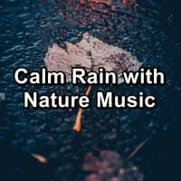 Calm Rain with Nature Music